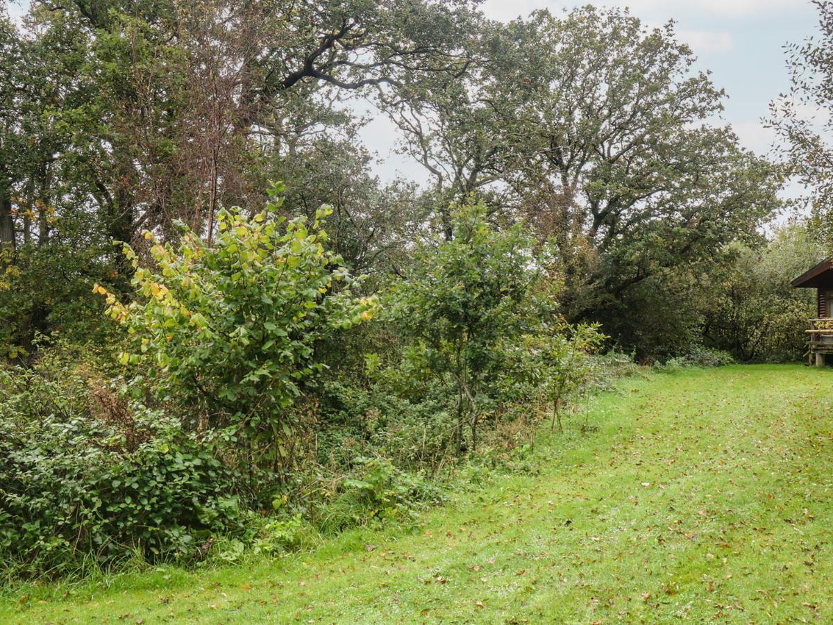 Braeburn Lodge Winkleigh Zewnętrze zdjęcie